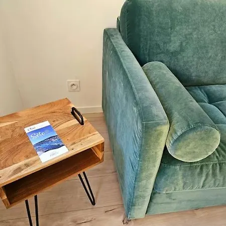 Le Calme A Deux Pas Du Port De Appartement Sète